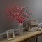 Northlight LED Lighted Cherry Blossom Artificial Tree Branches - 2.5" - Red - Set of 3
